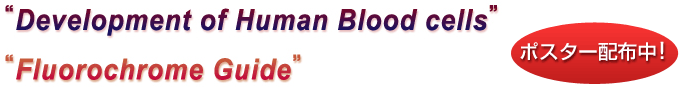 �gDevelopment of Human Blood cells�h�gFluorochrome Guide�h�|�X�^�[�z�z��