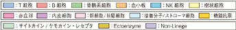 細胞の種類ごとに色分けされ、簡単にわかりやすく