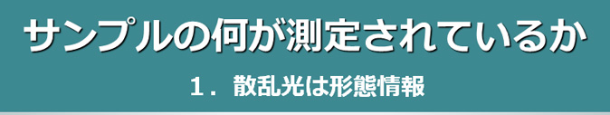 サンプルの何が測定されているか　1.散乱光は形態情報