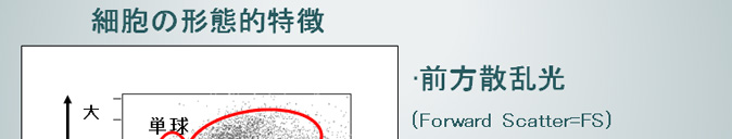 側方散乱光(SS)　前方散乱光：FS→大きさの目安