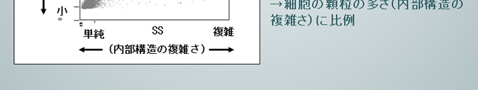 前方散乱光