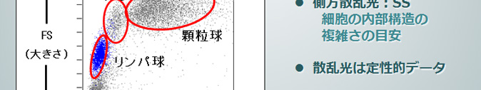 ・側方散乱光：SS 細胞の内部構造の複雑さの目安　・散乱光は定性的データ