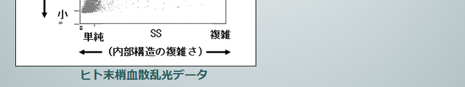 ・大きさを定量できるFCMがある(ハイレゾFCM)　ヒト末梢血散乱光データ