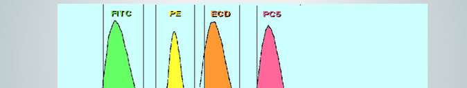 FITC　PE　ECD　PC5