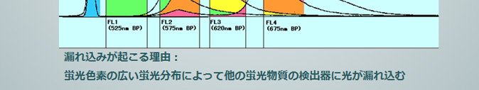 FL1　FL2　FL3　FL4　漏れこみが起こる理由：蛍光色素の広い蛍光分布