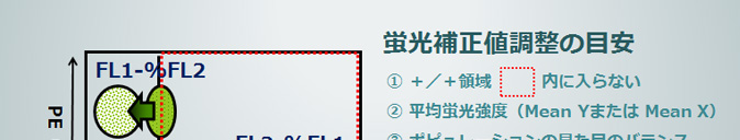 蛍光補正値調整の目安　FL1-%FL2　・＋／＋領域内に入らない　・平均蛍光強度(Mean YまたはMean X)