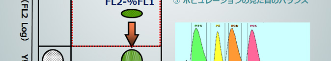 PE(FL2 Log) Y軸　FL2-%FL1　・ポピュレーションの見た目のバランス