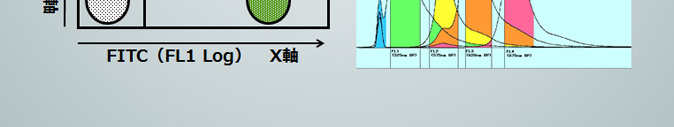 FITC(FL1 Log)X軸