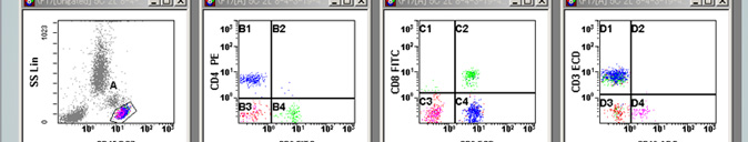 クリニカルア プリケーション 細胞表面抗原解析