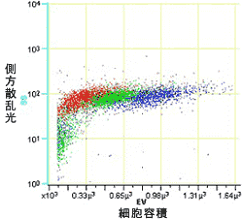 2. アポトーシス細胞の大きさの変化を高精度で捉えられること2. アポトーシス細胞の大きさの変化を高精度で捉えられること
