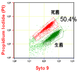 図６．アポトーシス測定（ＹＯ－ＰＲＯ－1/ＰＩ法）