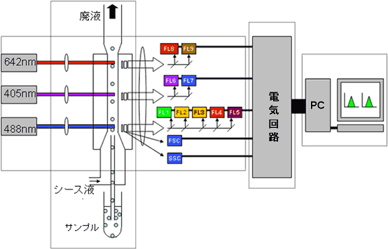 図2．3レーザー搭載9カラーフローサイトメーター　概略図