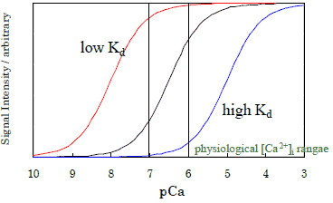 図4　カルシウム濃度とシグナル強度の関係