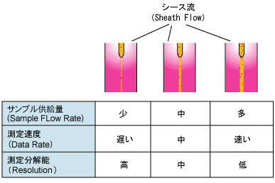 表