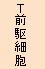 Ｔ前駆細胞