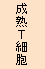 成熟Ｔ細胞