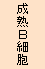 成熟Ｂ細胞