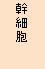 幹細胞