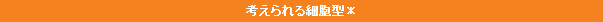 考えられる細胞型＊