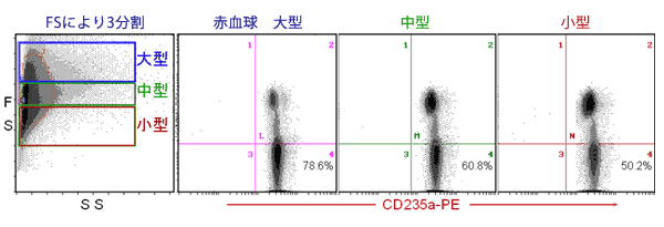 赤血球における　PNH型血球の解析方法（CD55,59染色）