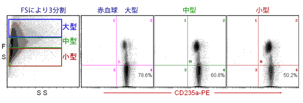 赤血球における PNH型血球の解析方法(CD55,59染色)