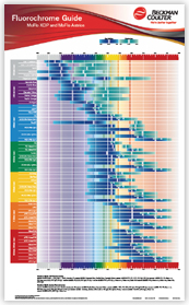 Development of Human Blood cells