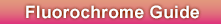 Fluorochrome Guide