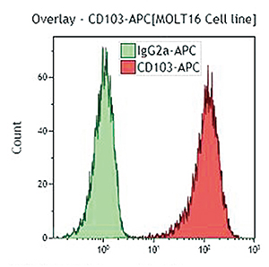 Molt 16 細胞をIM1856Uで染色。