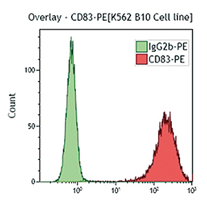 CD83遺伝子をトランスフェクトした  K562細胞をIM2218Uで染色