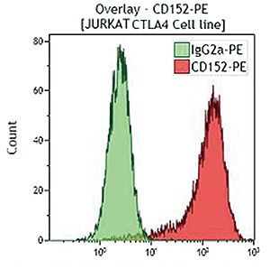 IntraPrepで膜透過処理した活性化末梢血リンパ球を  IM2282で染色。非活性化末梢血リンパ球の染色ヒストグラムを白抜きで表示。