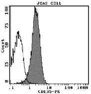 JEA2細胞をIM2234Uで染色