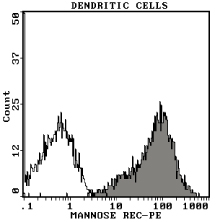 末梢血より比重遠心分離した単核球分画をin vitroで活性化して得られた樹状細胞をIM2741で染色。