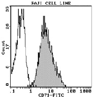 Raji細胞をIM0483で染色。