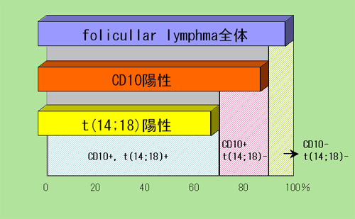 CD10とt(14;18)を用いたFLの分類