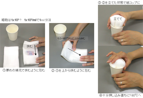 -80℃細胞凍結保存(1年は保存可能)