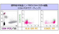 免疫調節性T細胞サブセット解析例