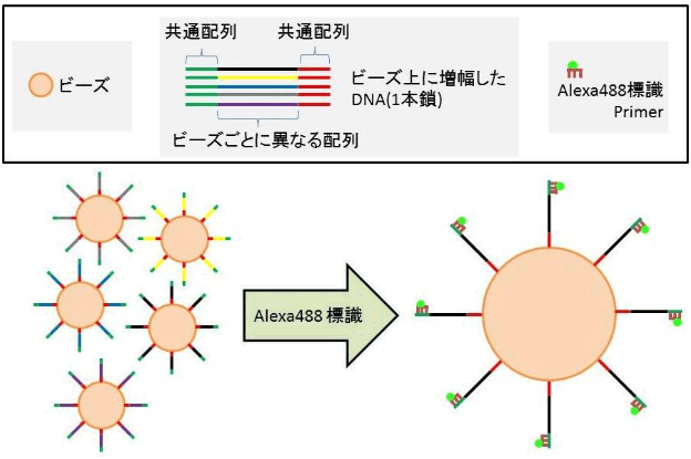 サイトメトリードットコム