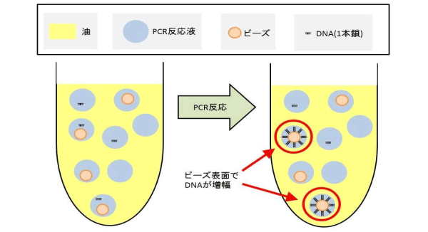 サイトメトリードットコム