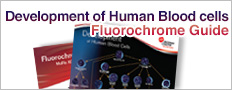 Development of Human Blood cells　Fluorochrome Guide